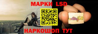 ГАЛЛЮЦИНОГЕННЫЕ ГРИБЫ Кинель