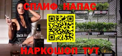 СК Кингисепп