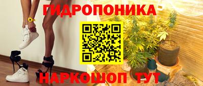 apvp Кимры