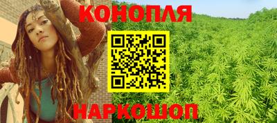 СК Кингисепп