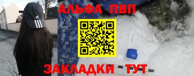 СК Кингисепп